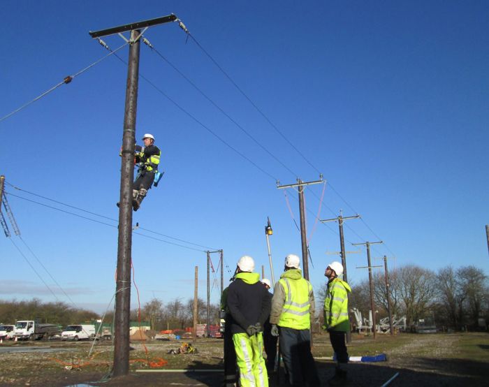 Un trabajador con equipo de seguridad trepa por un poste de la red eléctrica mientras otros cuatro con ropa de alta visibilidad y cascos observan desde el suelo en un día despejado.