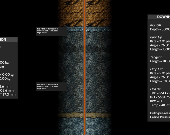 Diagram displaying wellbore structure with two columns of text. The left column details local information, and the right column provides downhole information, including depths and drilling parameters.
